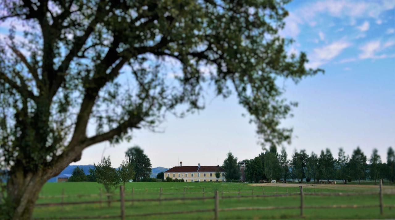 Reiterbauernhof Schoenlehenhof Mank Eksteriør bilde