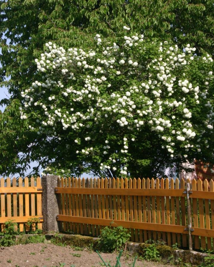 Reiterbauernhof Schoenlehenhof Mank Eksteriør bilde